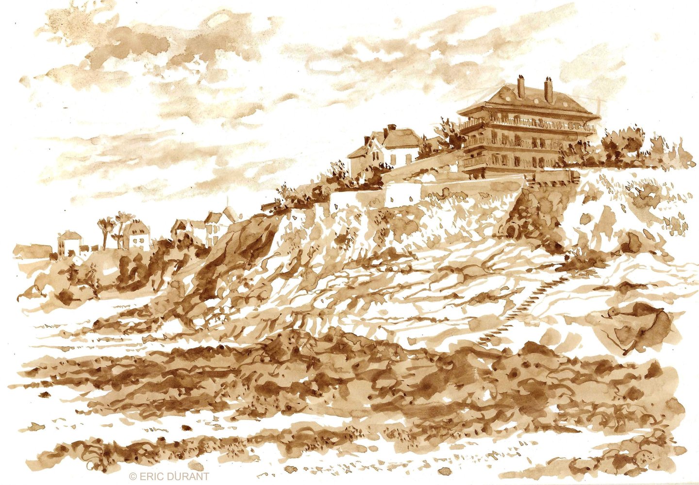 Lavis de brou de noix  sur papier A4 - © Eric Durant