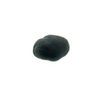 Codium pomoides