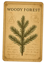 woody forest cabinet card