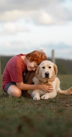 a boy is sitting on the grass and hugging a dog