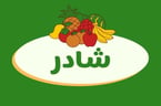 a fruit and vegetable logo on a green background