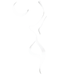 Les Mondes Invisibles logo