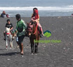 Naik Kuda di pantai watu pecak