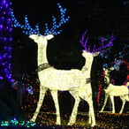 Festival of Lights, Deer, Brookings, Oregon 2022