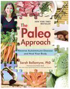 book The Paleo Approach: Reverse Autoimmune Disease and Heal Your Body