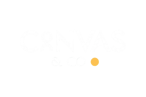 Canvas and Co Digital marketing agency