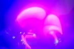 cabaret astral
