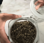 a person holding a jar of damiana leaf tea herb