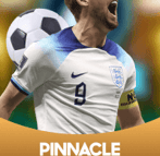 Pinnacle Solution logo for SuperYummy888