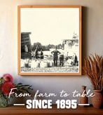 photo restoration example_2