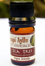 aceite esencial de te tree