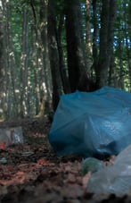 Plastique jeté dans la forêt réduisant la fertilité du sol