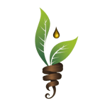 SRC Herbal logo