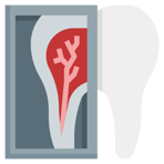 RADIOLOGIE DENTARA TEAM BALȘ logo
