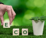Eco-Friendly Fandee Island - Tad Lo