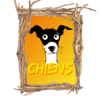 éducation canine Guadeloupe