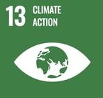 SDG 13 Climate Action