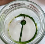 ceramic fermenting weight