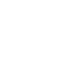 Logo EXEX Consulting
