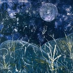 Midnight desert