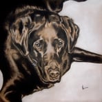 Marley (1999). Charcoal and White Pastel.