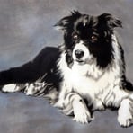 Molly (2008). Pastels.