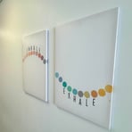 Therapy rooms designed following principles of mindfulness