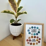 Beautiful, calm and soothing therapy space