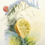 Pressé comme un citron ( La Roberche)