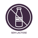 Sem Lactose Mr. Fit Prudente