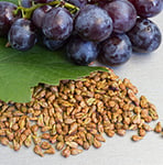 Grape Seed
