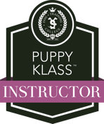 Puppy Class instructor