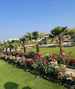 Urban green wall system promoting environmental sustainability