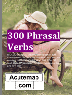  phrasal verb book 