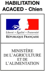 Diplome ACACED éducateur canin Bayonne, Anglet, Biarritz