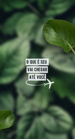 RENDENDO MAIS 