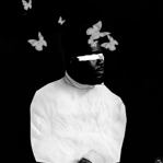 Artistic visual design using monochrome artist portraits with butterfly overlays - demonstrates attention to minimalism