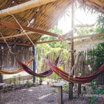 cabaña rustica con hamacas y mucha vegetación