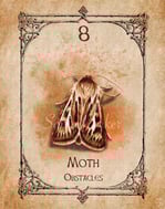 Moth Spirit Animal, Moth Spiritual Meaning, Animal Spirit Oracle.com, Art by Sonia Parker