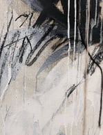 IS CERTAINTY AN ILLUSION details - Fía Yang