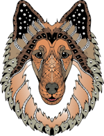 Shetland Store & Tec Service logo