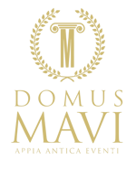 Domus Mavi logo