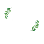 Qudrat Studio logo