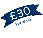 Remotivly Pro Plan for Remote Training Assistant, Teaching Assistant, Remote Travel Assistant