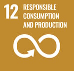 SDG 12 Responsible Consumption and Production