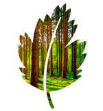 Ecological printing by SuperPrinting