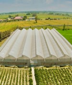 Sustainable rooftop farming project under protected cultivation