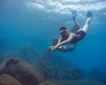Free diving lesson Funchal