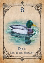 Duck Spirit Animal Card, Duck Spiritua meaning from Animal Spirit Oracle Deck, art by Sonia Parker