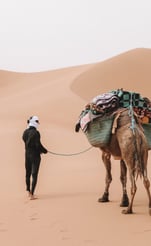 Walking with Nomads in  the Moroccan Sahara chigaga desert trekking